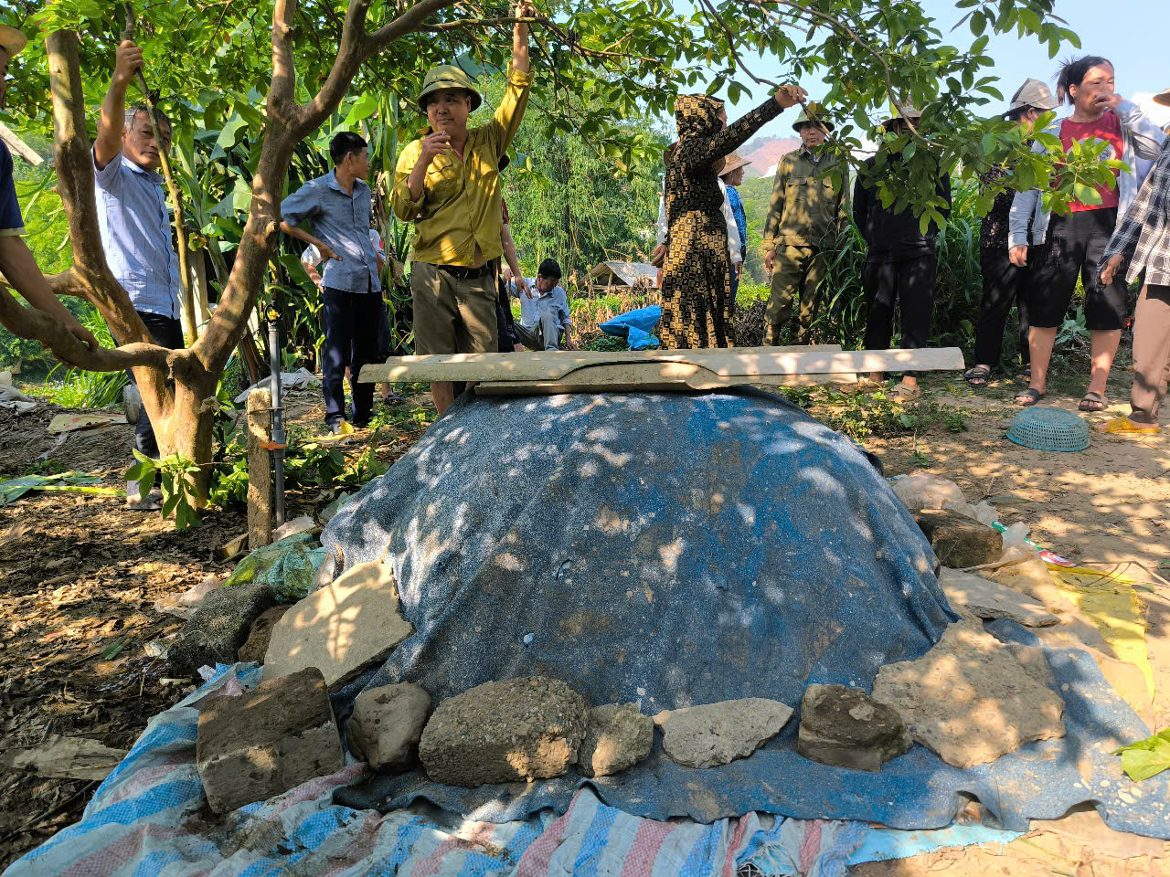 anh tin bai