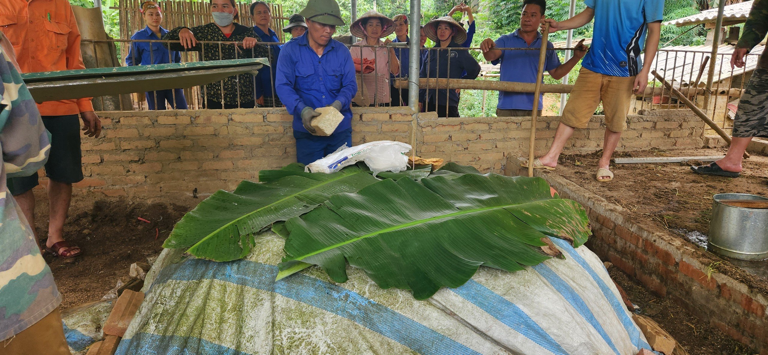 anh tin bai
