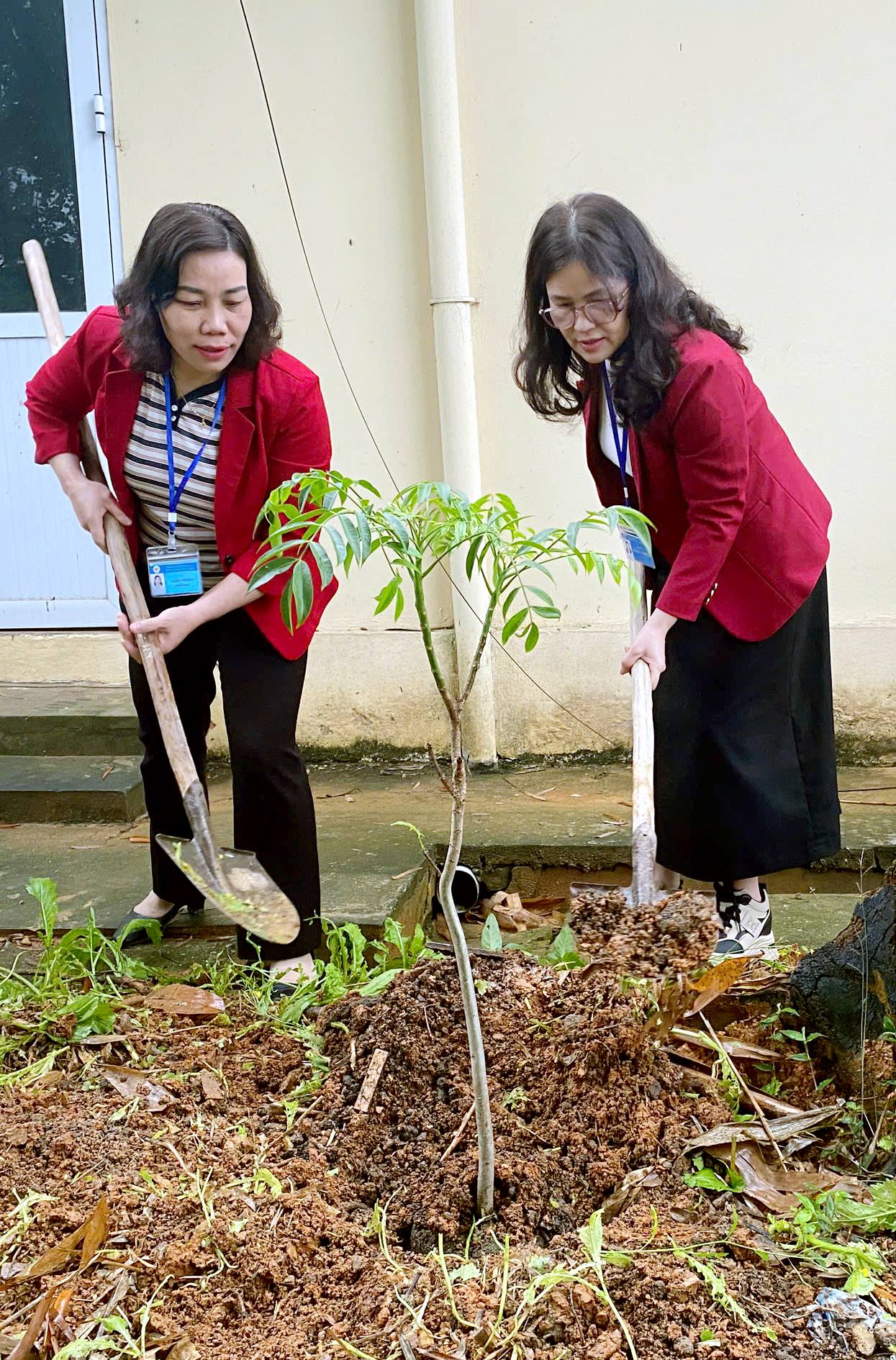 anh tin bai