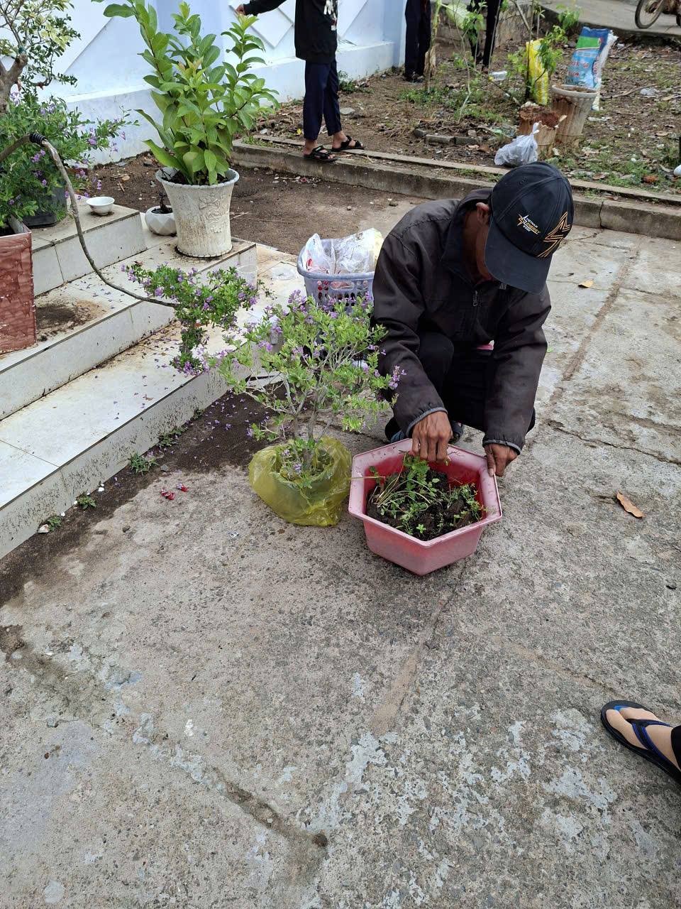 anh tin bai