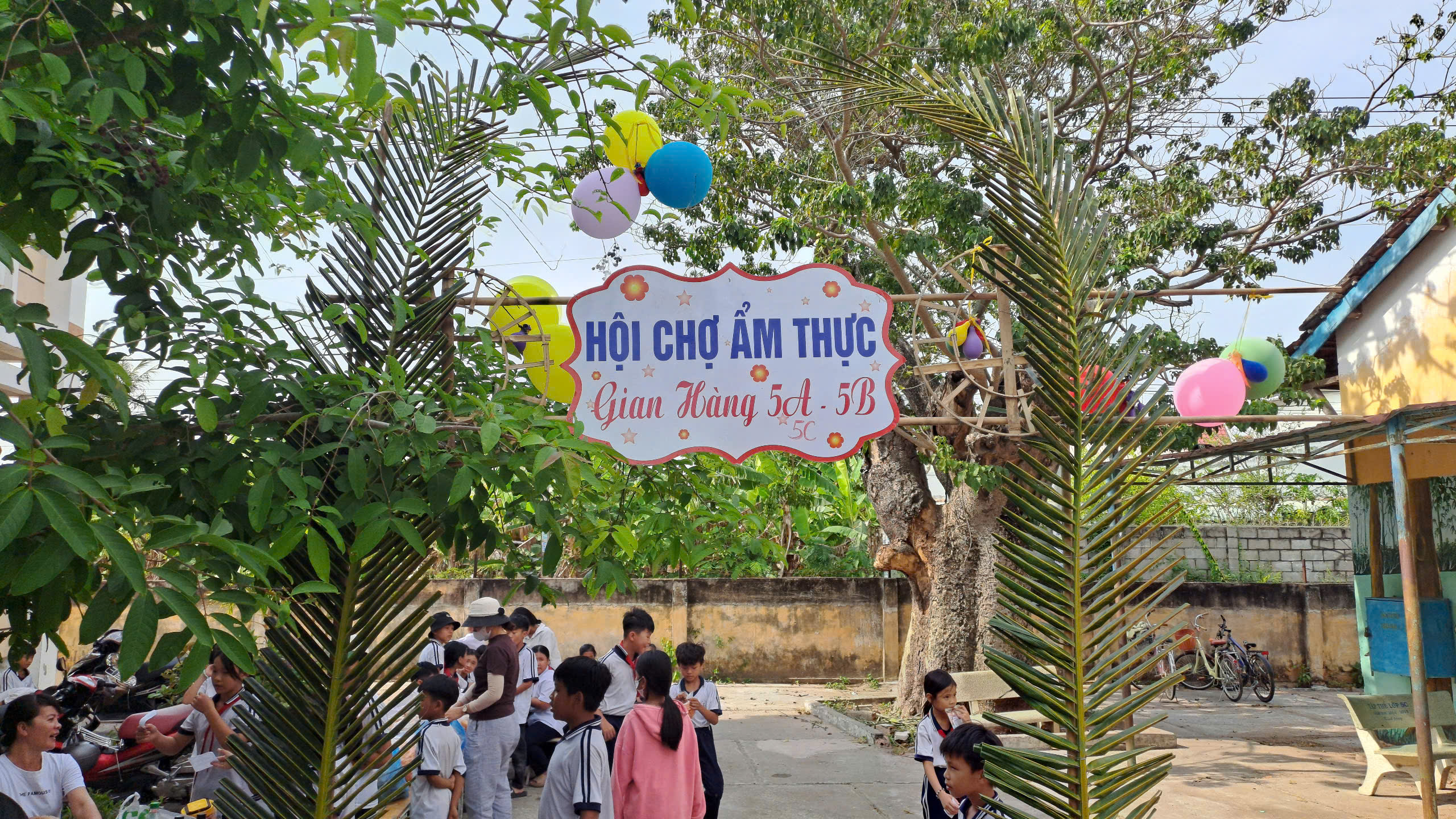 anh tin bai