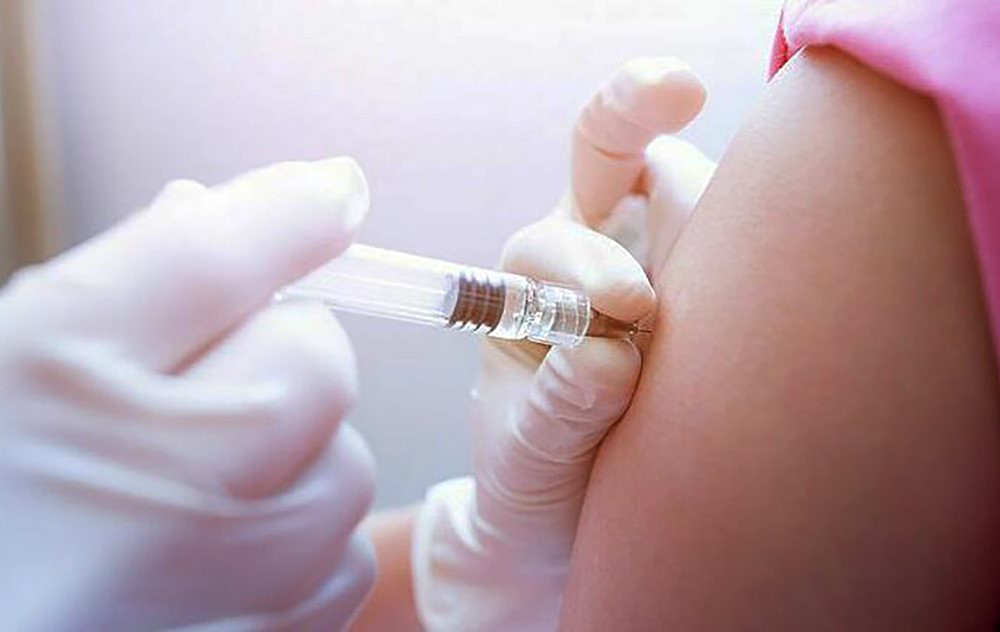 BỊ CHÓ MÈO CÀO CẮN… TUYỆT ĐỐI KHÔNG CHỦ QUAN 