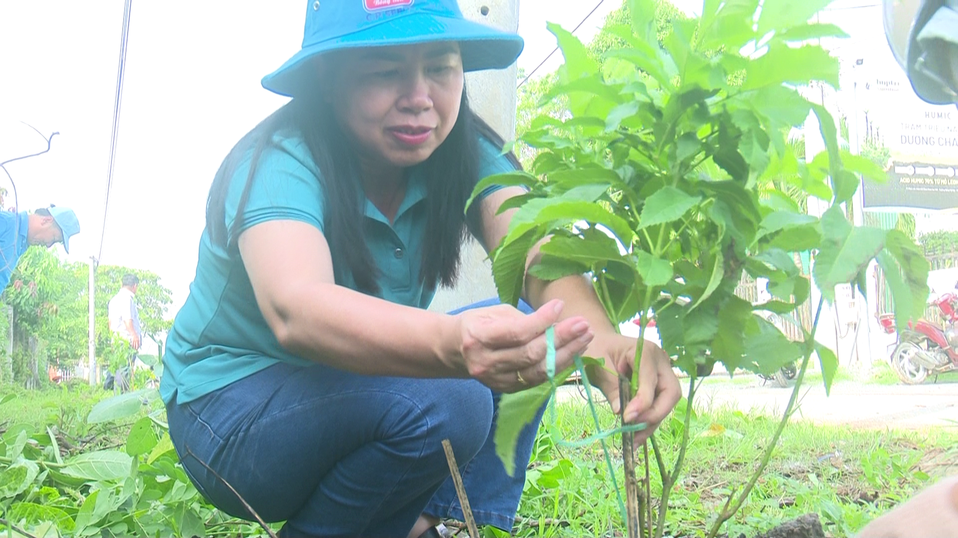 anh tin bai