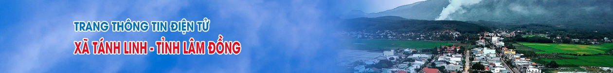 image banner