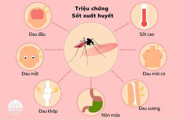 Công văn phòng, chống sốt xuất huyết