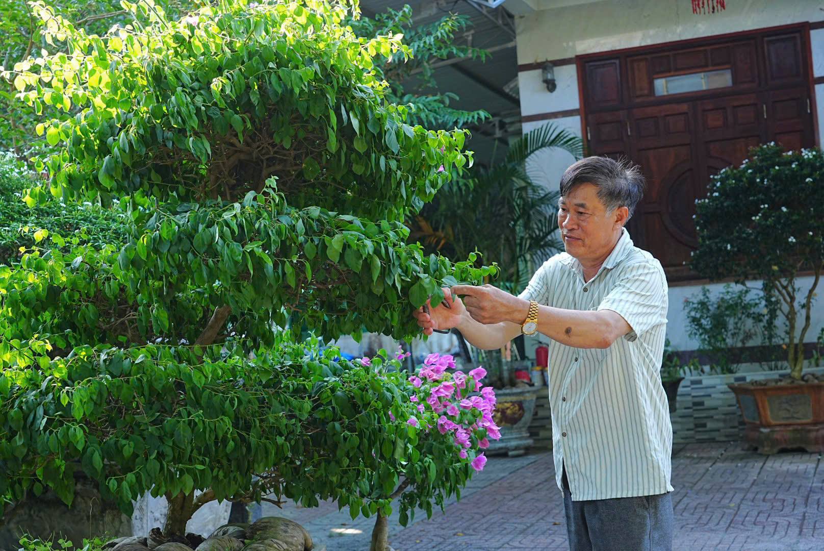 anh tin bai