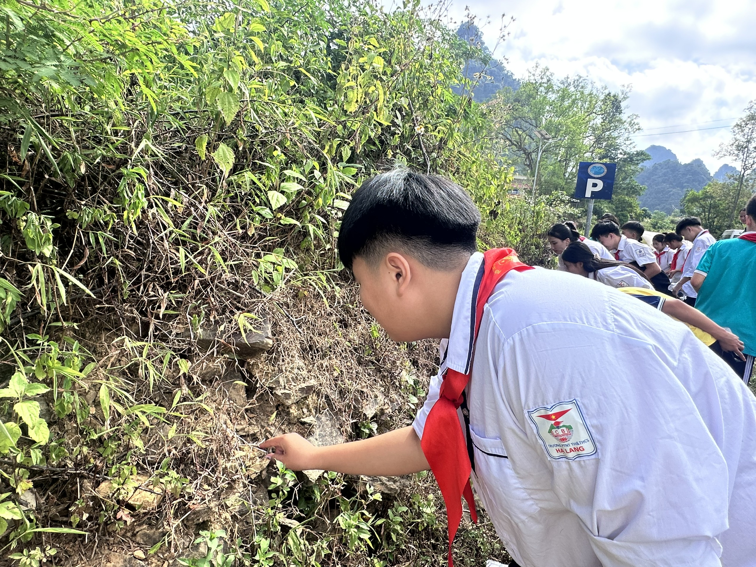anh tin bai