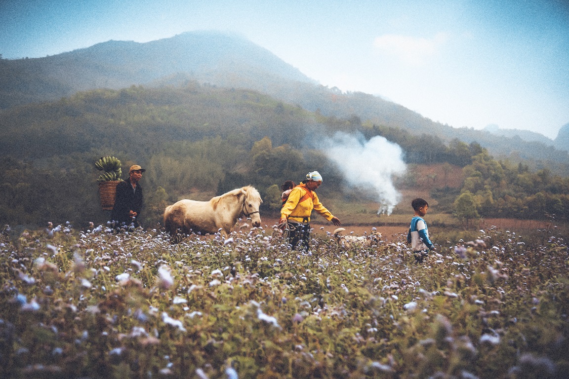 ẢNH TRIỂN LÃM CUỘC THI ẢNH ĐẸP 