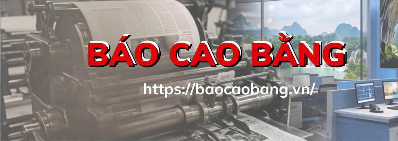 image advertisement