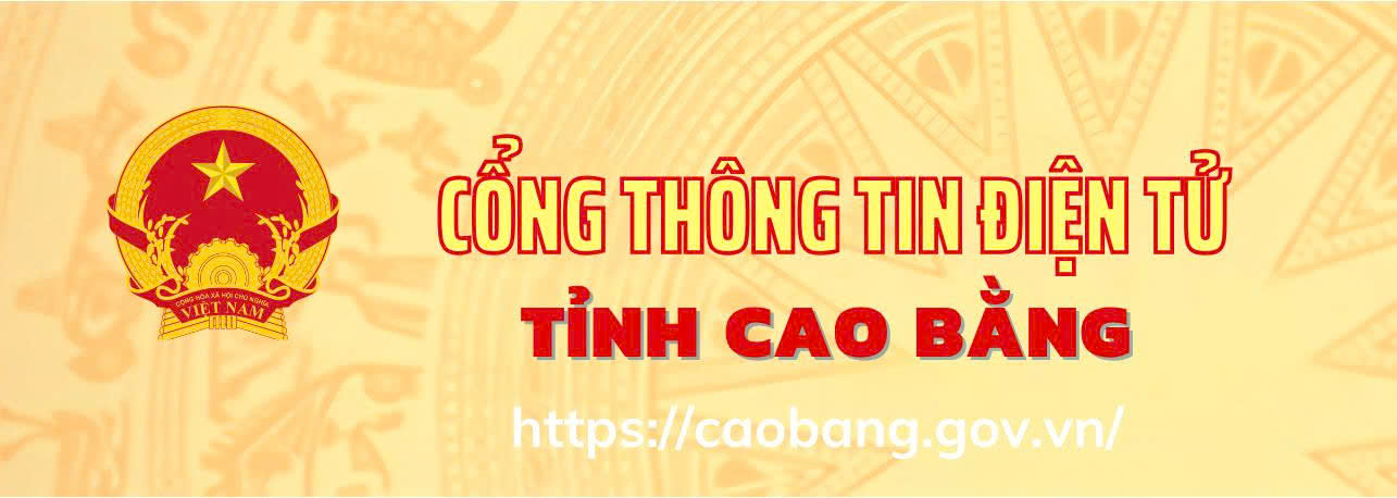 image advertisement