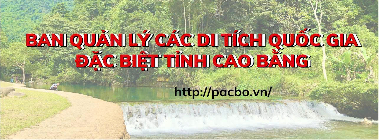 image advertisement