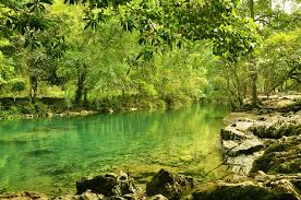 Khu di tích Quốc gia đặc biệt Pác Bó