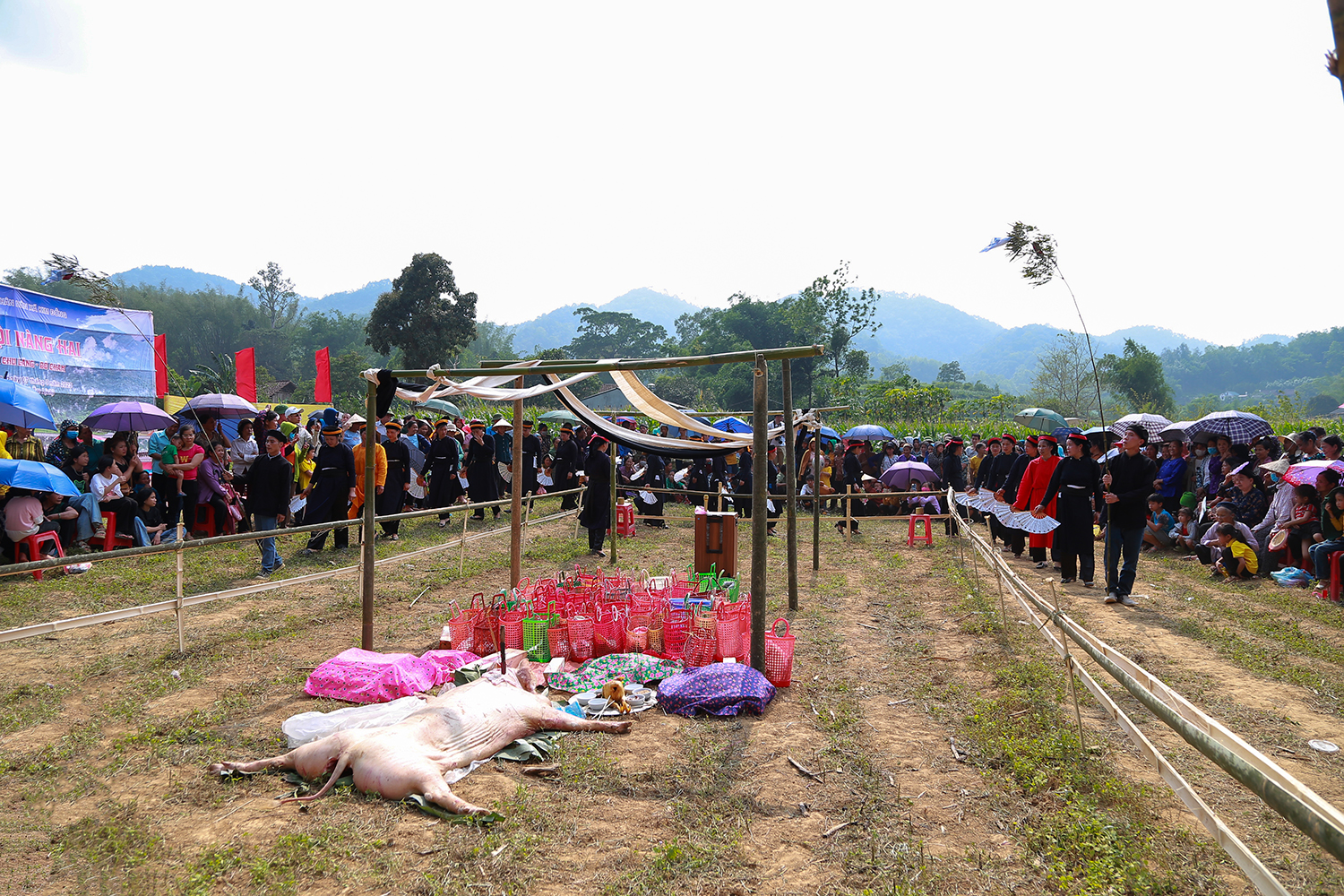 7 IMG 9720 dẫn đoàn