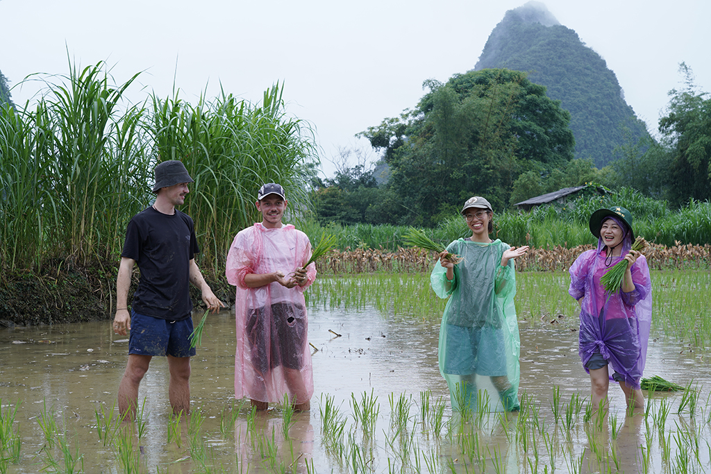 7 trai nghiem cay lua