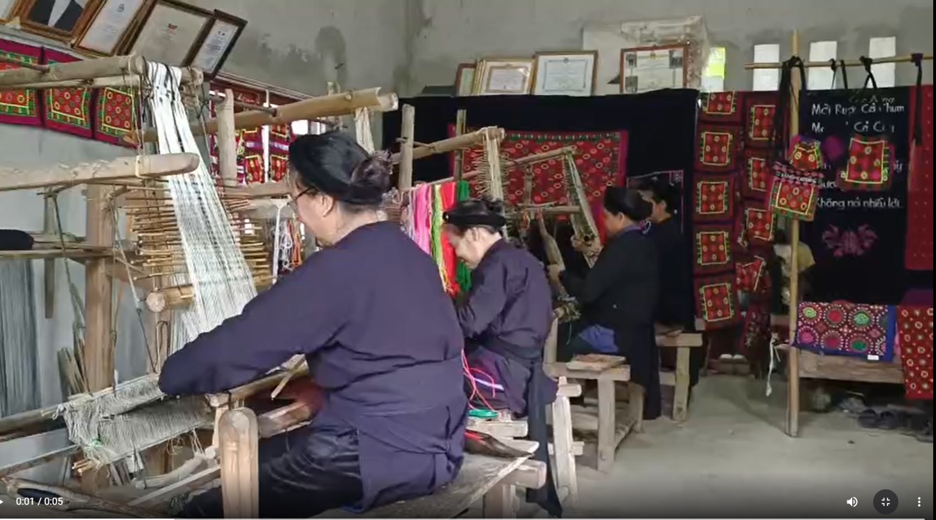 DỆT 2