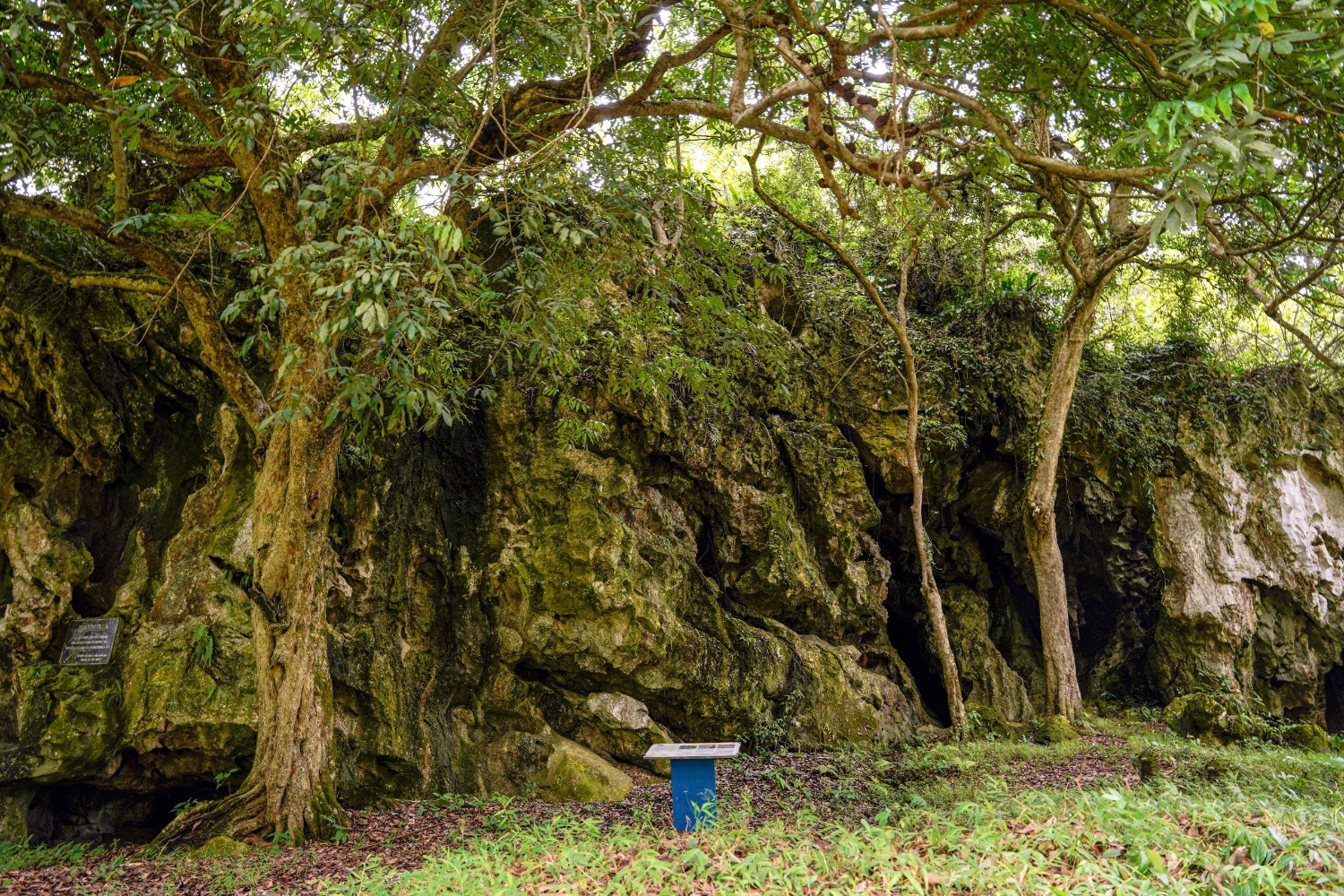 gia trị đa dang cua cvdc