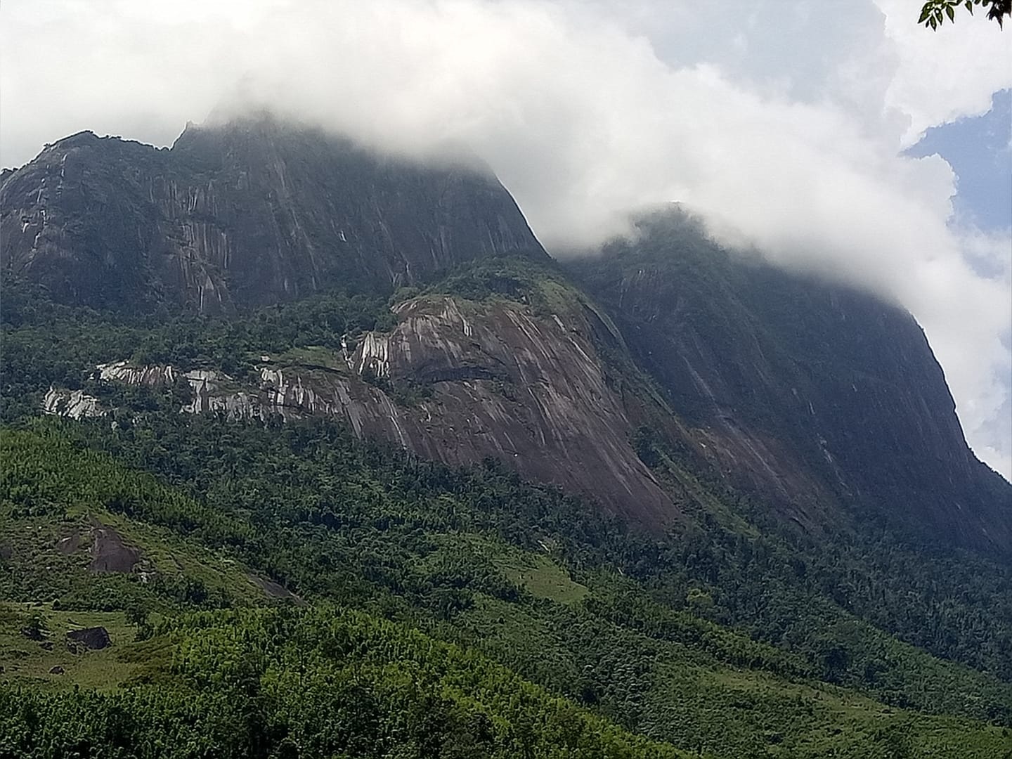 Phja Dạ
