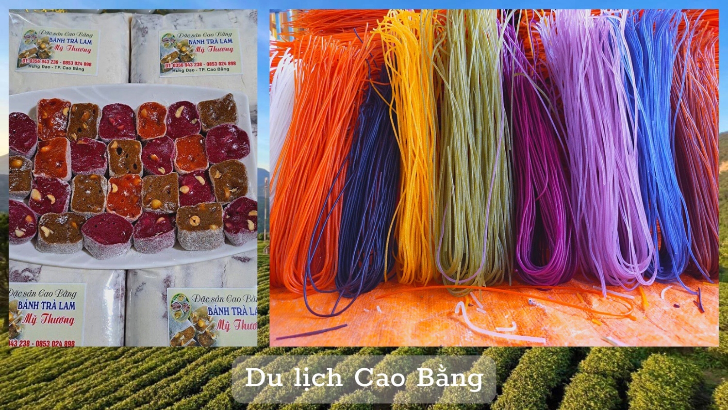 sản phẩm