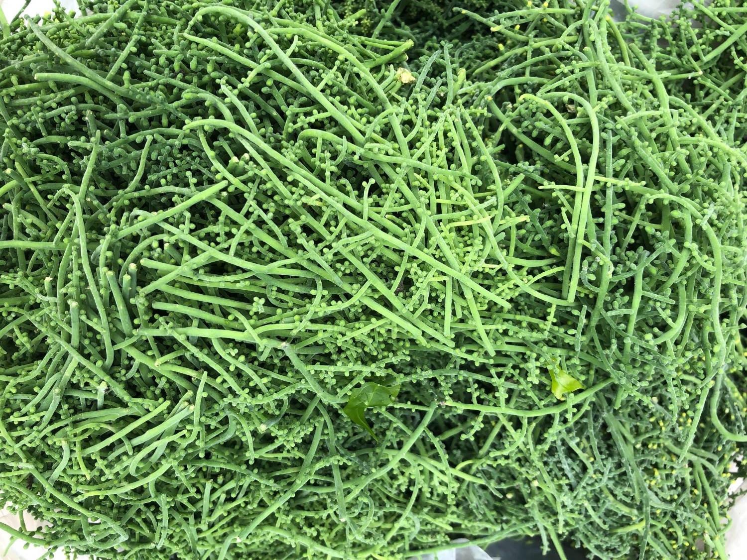 z2412770493733 710c01ce9661b993bd959244be4d1741