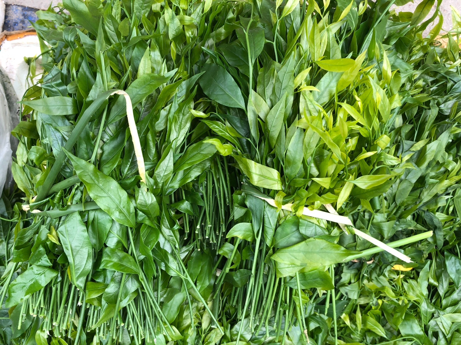 z2412770543422 934b8d4cefe0a11ced263c8b94583c3a