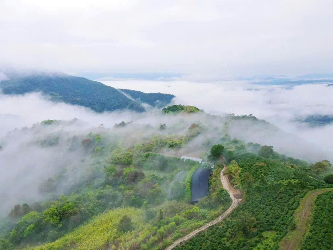 z6615477082677 6cebd61cbc1df80508f392366a994d00