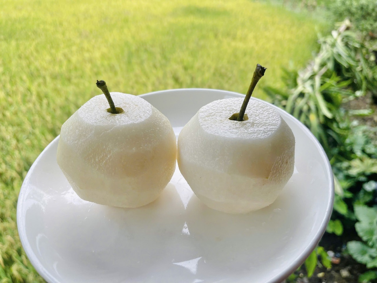 z6803337085730 1ca6c469af75e985fa97ee54a95f5ee6