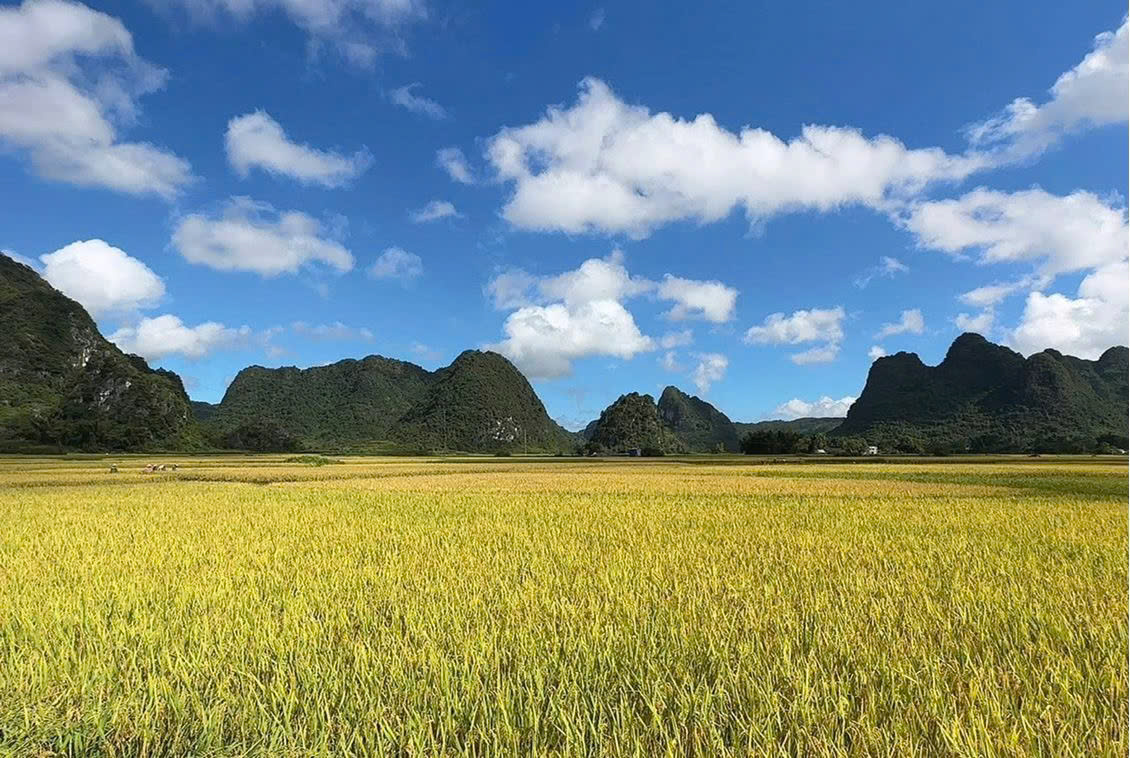 z7045635801063 7971e6e8b6b4659244079f2f6f503cf7