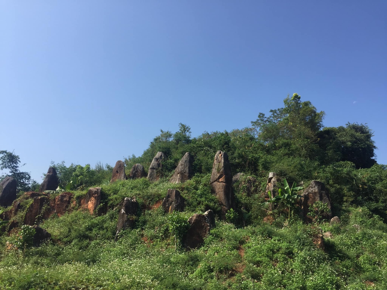 138436196 3713592098687824 3869572880559050021 o