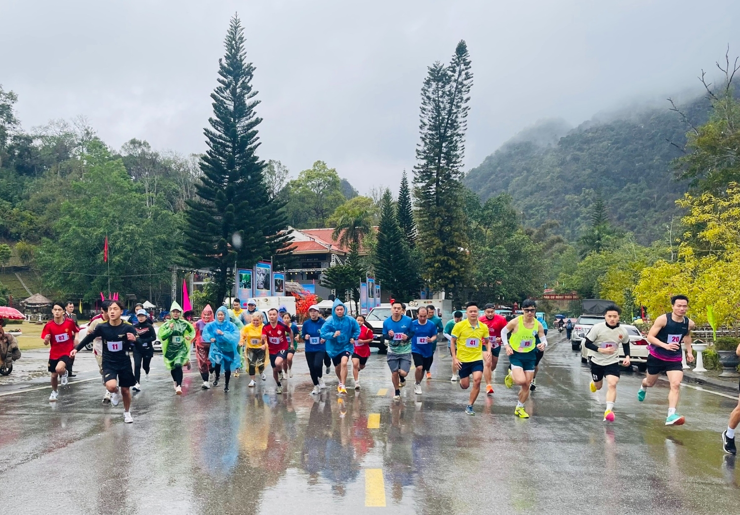 481013237 556454370744765 2973817157117056478 n