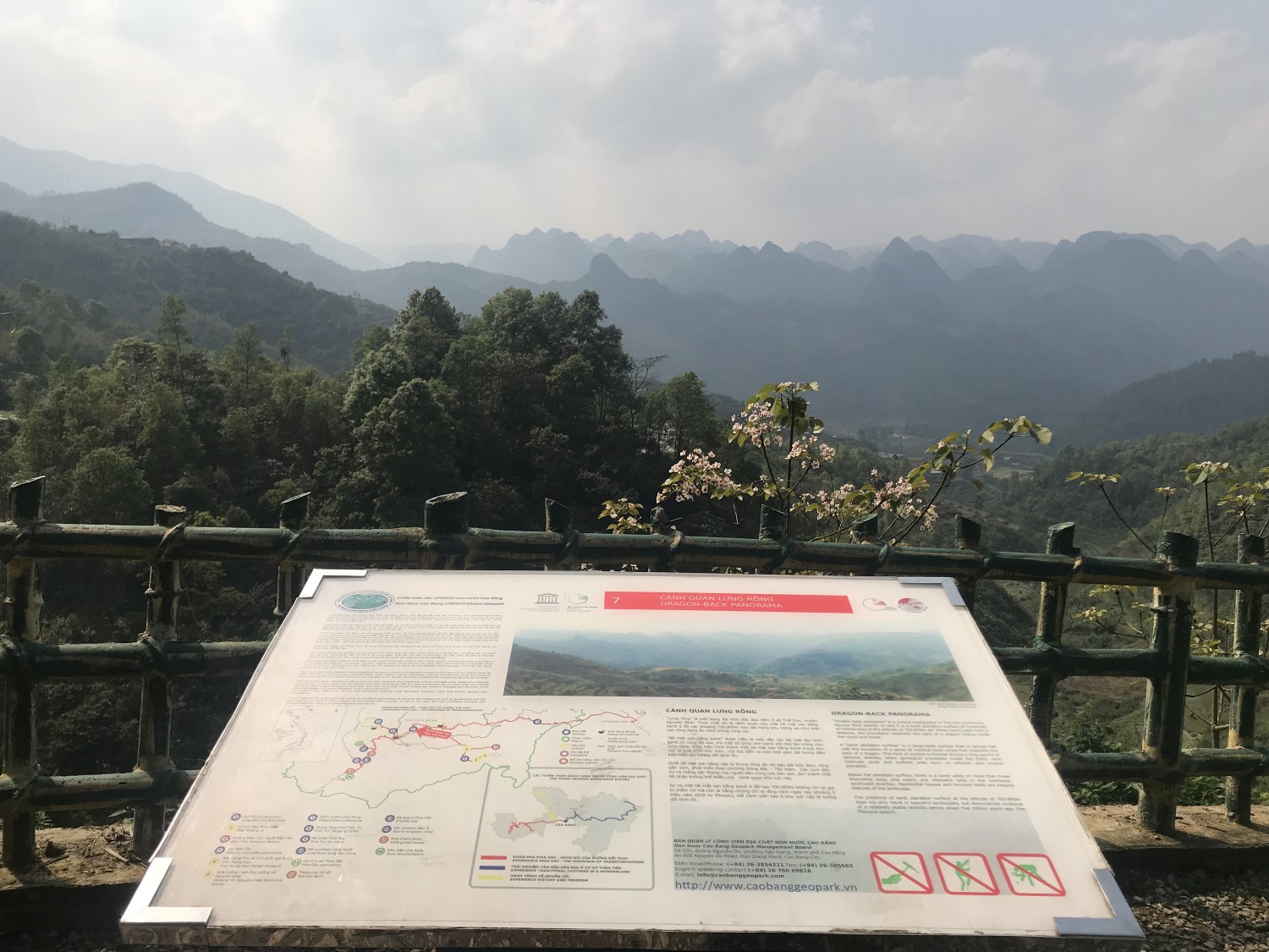 Địa hình cảnh quan Karst sơ khai với bề mặt san bằng ở điểm di sản Cảnh quan lưng rồng, xã Thể Dục, huyện Nguyên Bình.