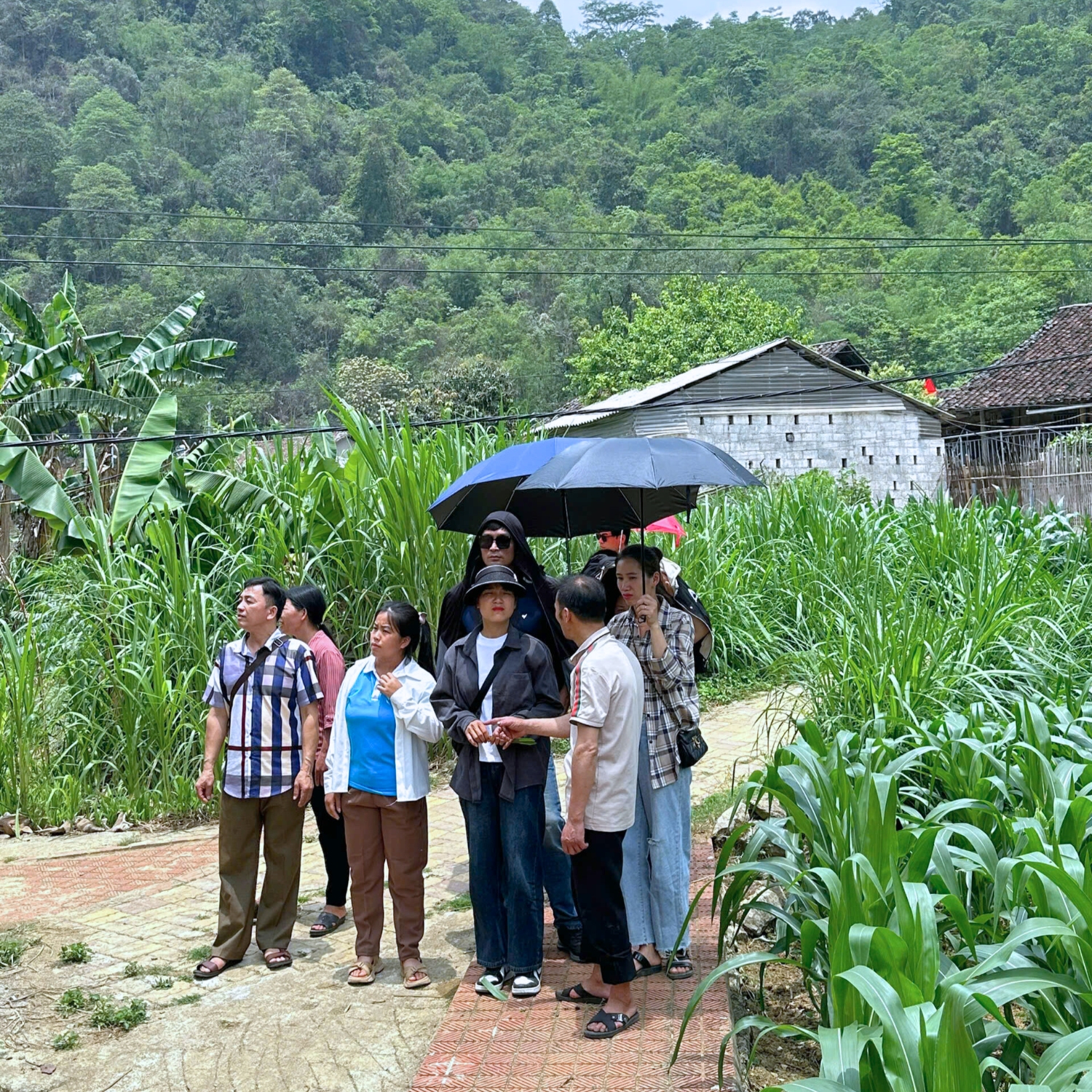 f3a1b0a0 b1cb 4359 b4b7 f5a4ac38e09e