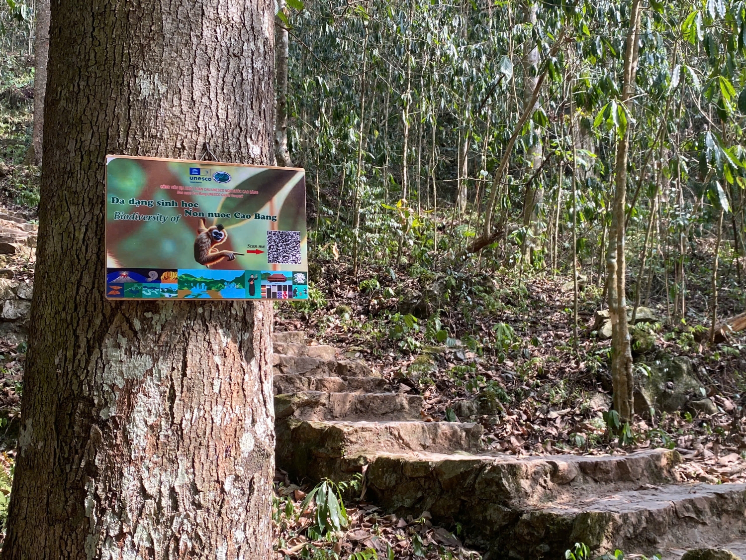 z6539417259811 5a03061c6ba11cdc299b70e8a8dc4f3e