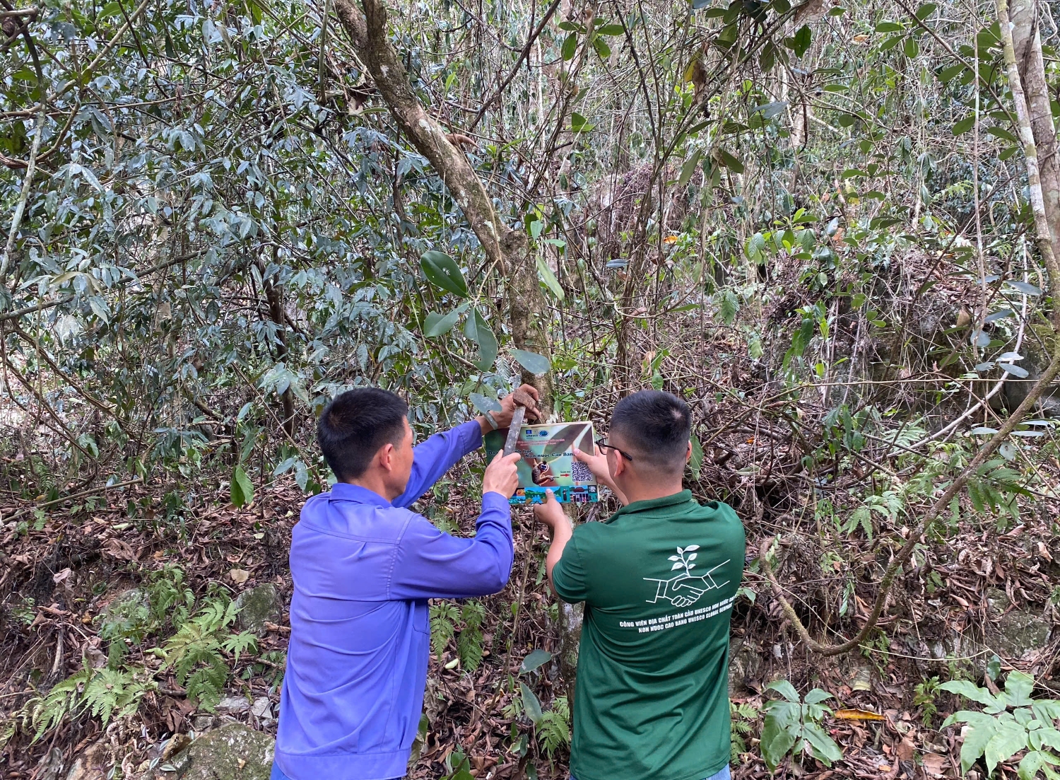 z6539417259872 c85ef25fced15ff1d85ed349efefe999