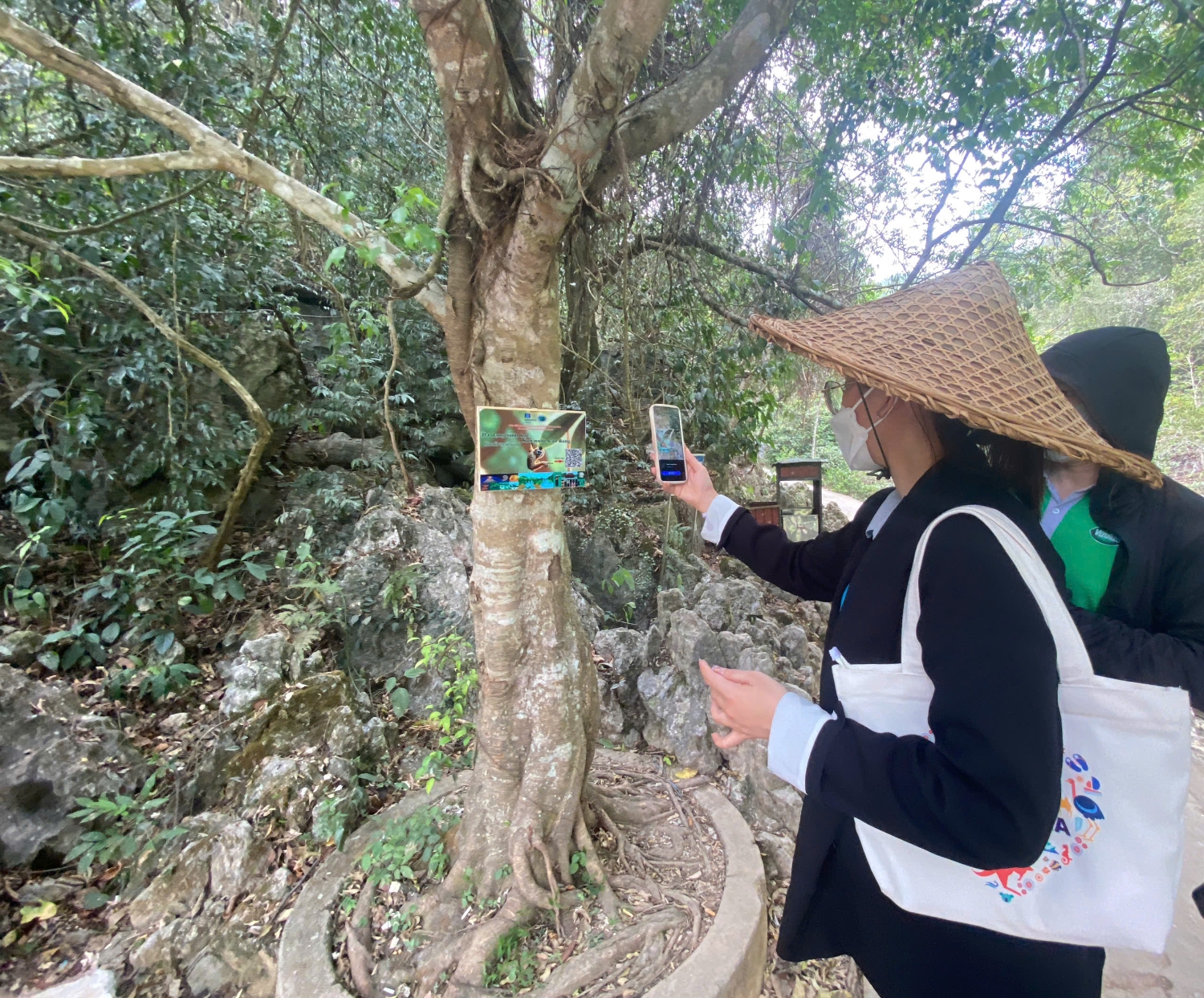 z6539417259873 8eb4c92754695f3d102c6ba15bce5a25