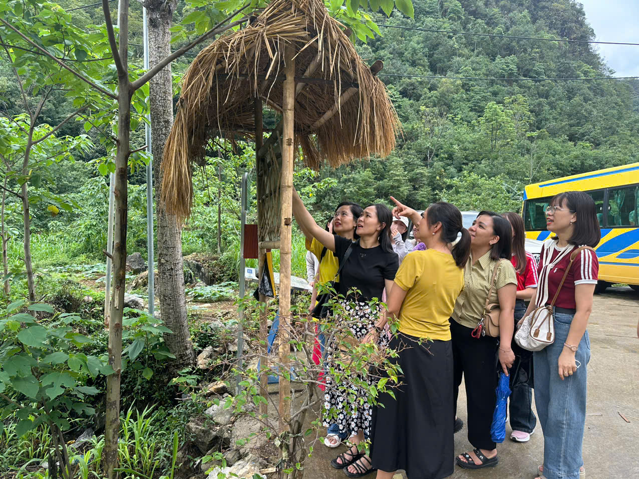 z6630483296413 3dd7cee804d15cca9e58c3cfa77dcae1