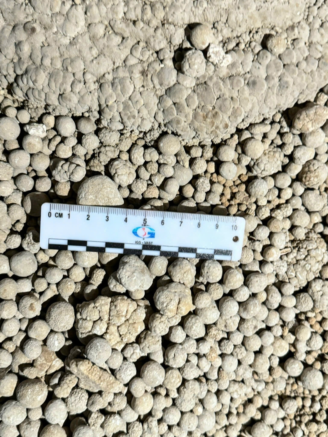 z6720398430994 e8131d2572811724d022536c76fe7102