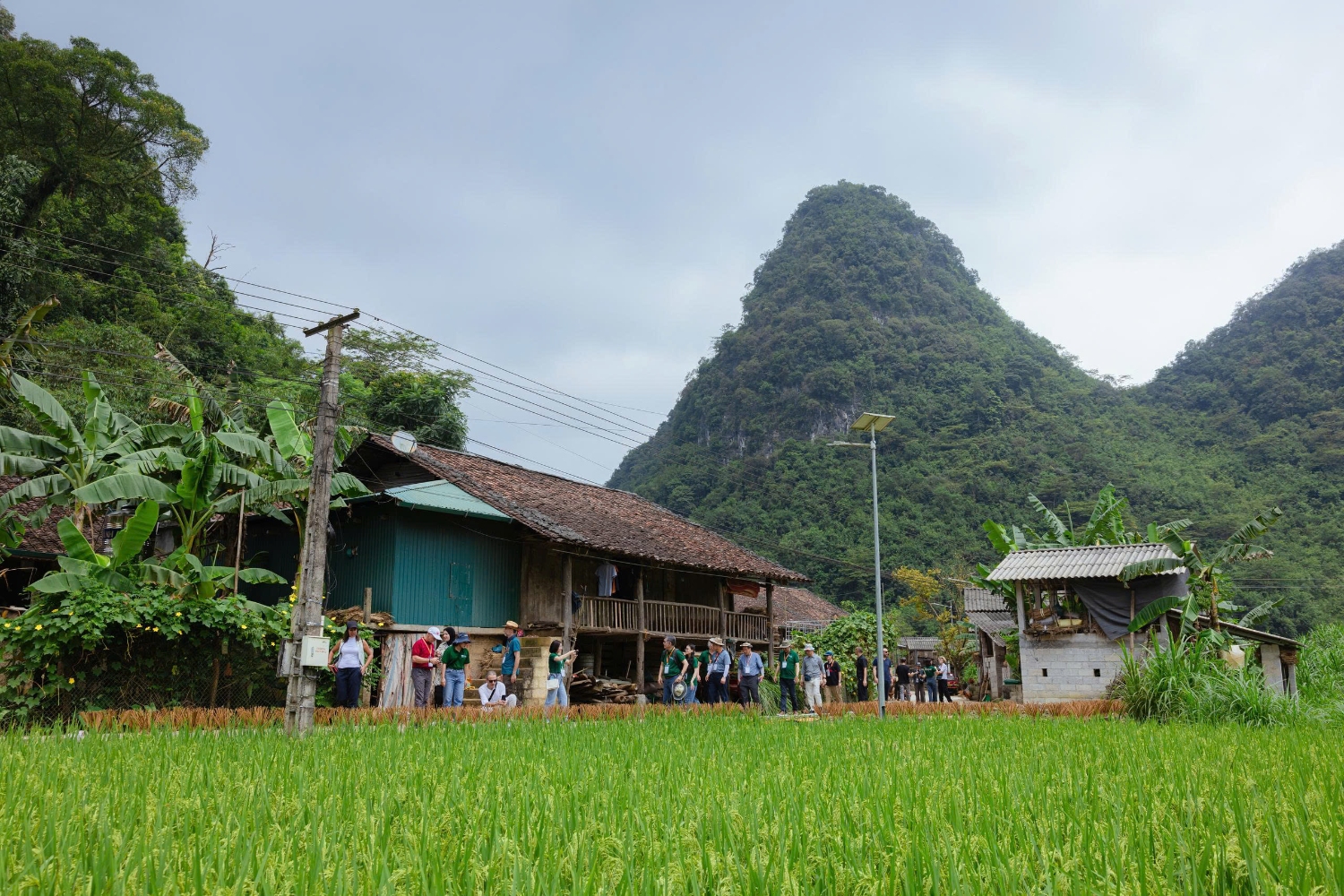 z7051481468676 1c3bff593dc432bd412127f1035b1084