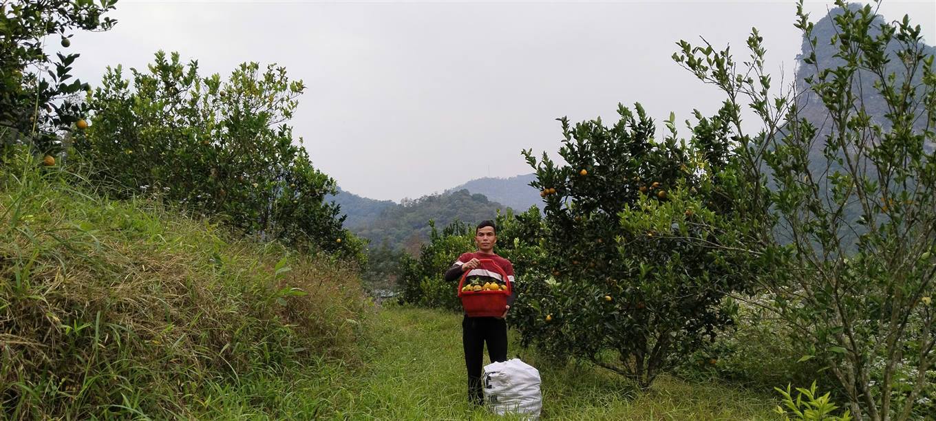 anh tin bai