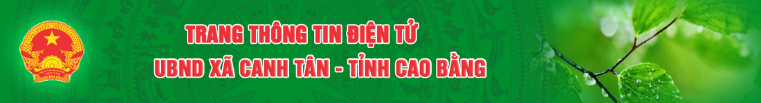image banner