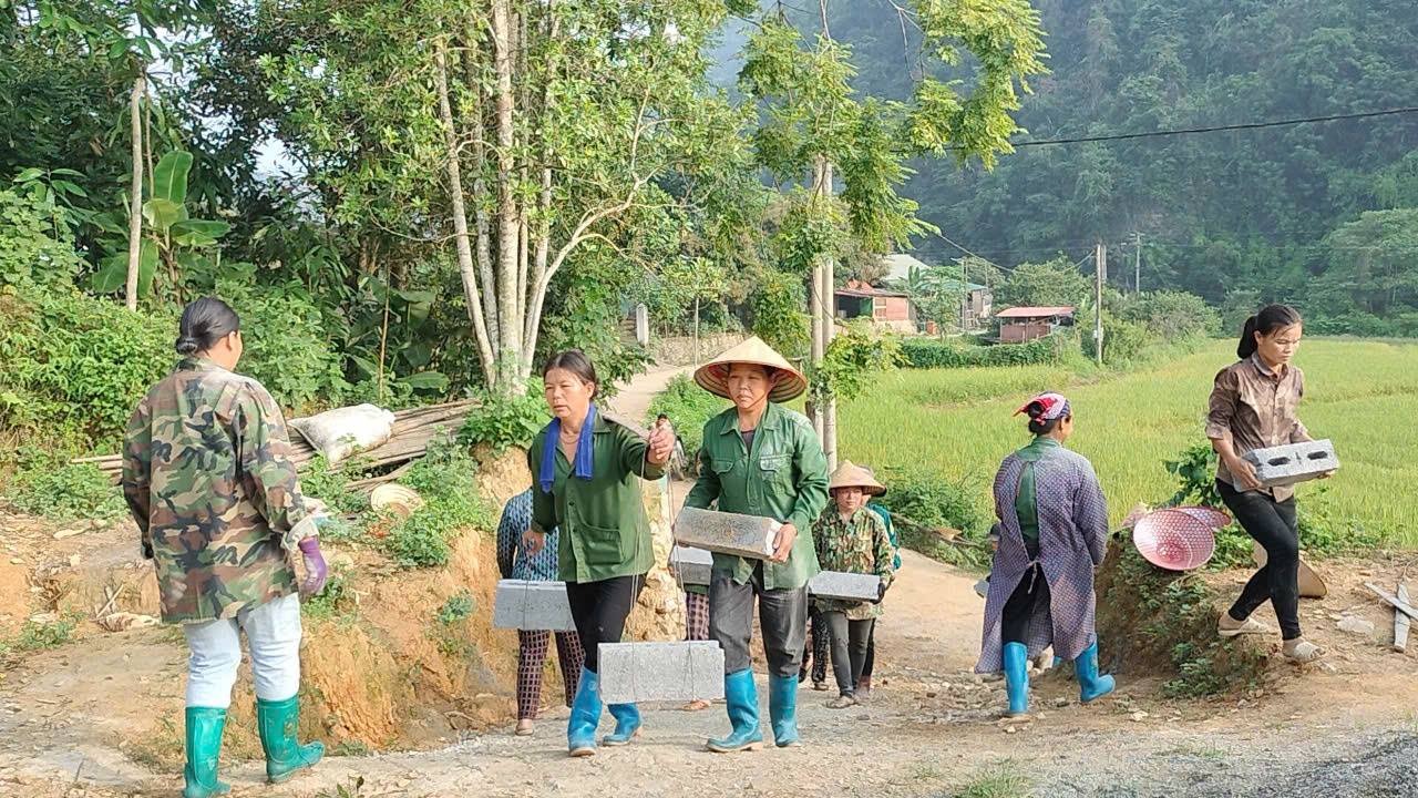 anh tin bai