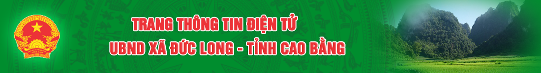 image banner