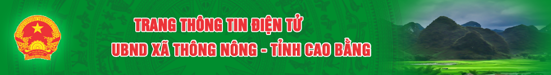 image banner