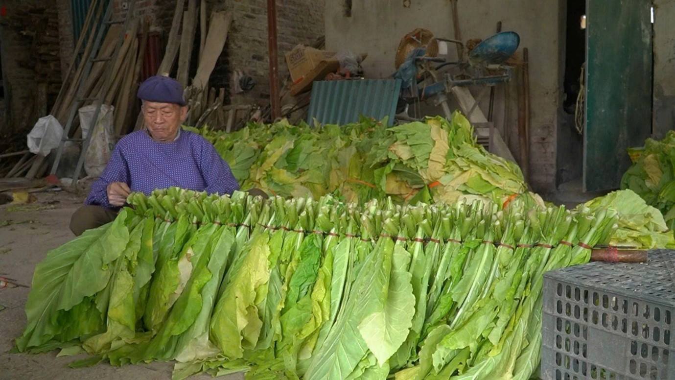 anh tin bai