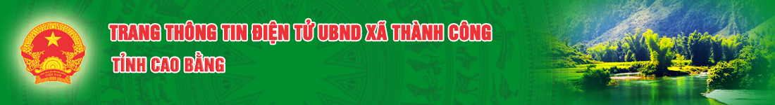 image banner