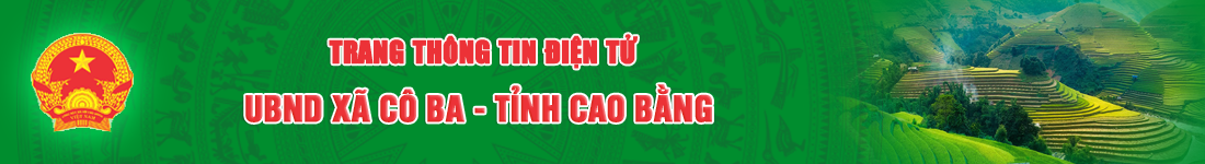 image banner