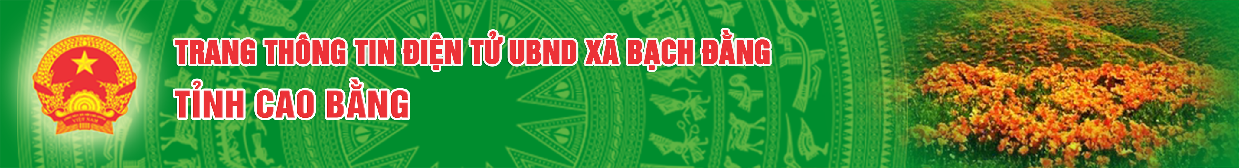 image banner