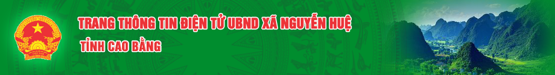 image banner
