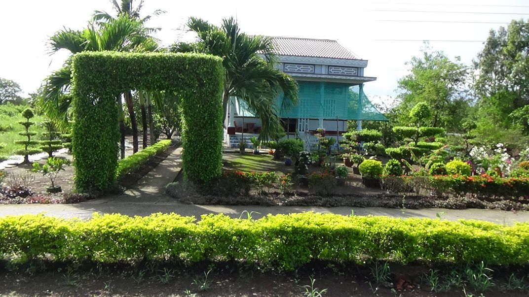 Ảnh 1