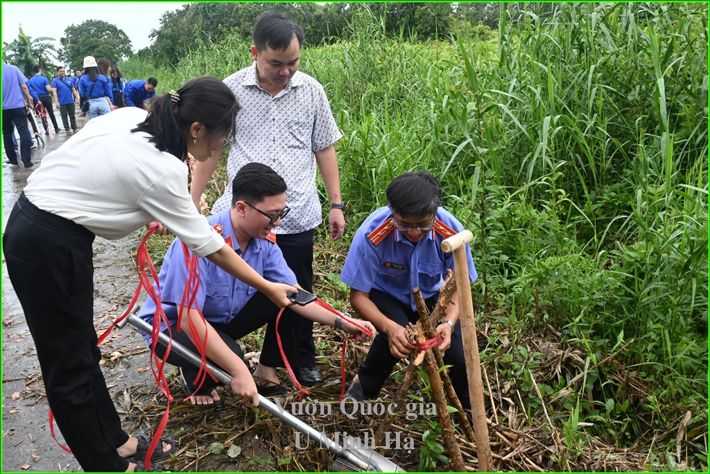 Trồng cây tạo môi trường xanh
