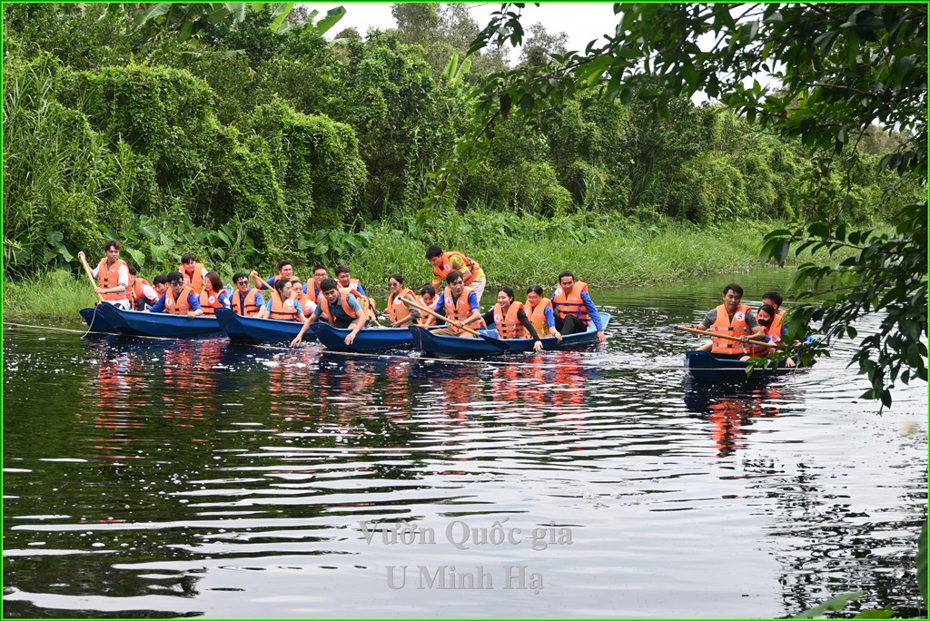 Trò chơi đua xuồng tại Vườn quốc gia U Minh Hạ